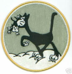 41st TCS Patch